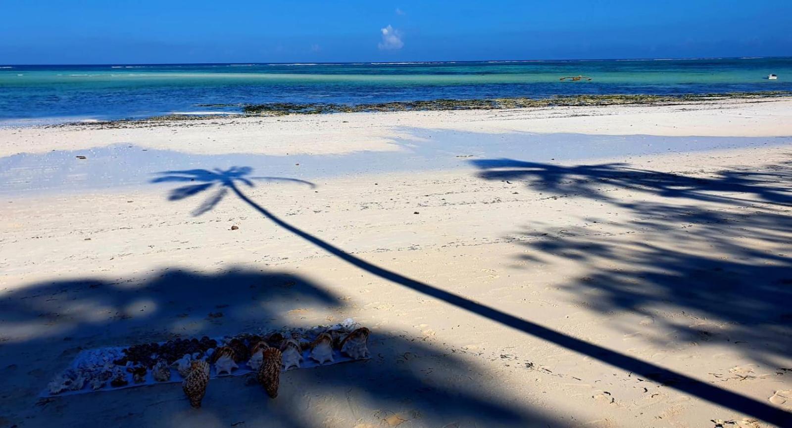 كيوينجوا Lazy Beach House المظهر الخارجي الصورة